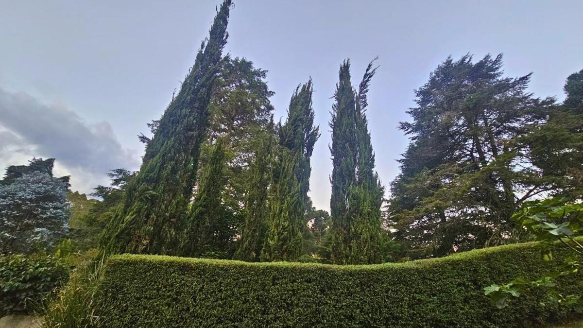 La Bella Vista *